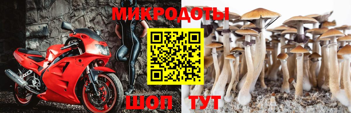 Галлюциногенные грибы MAGIC MUSHROOMS  Вход с VPN  купить наркотики цена  Псилоцибиновые грибы Psilocybe  Новокубанск 